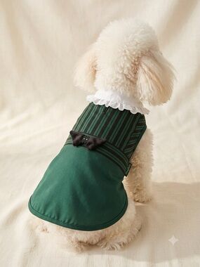 Green Striped Pet Jacket with Lace Collar
